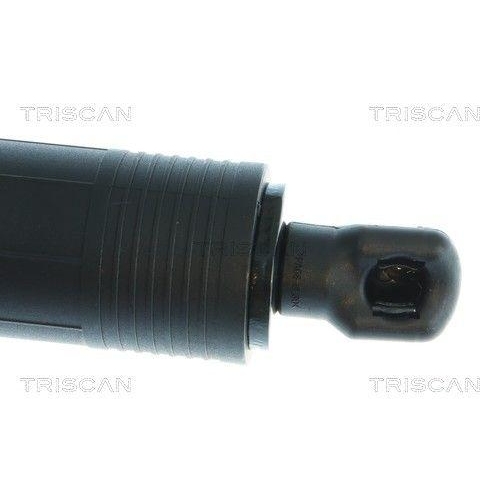 TRISCAN Gasfeder, Koffer-/Laderaum 8710 43317