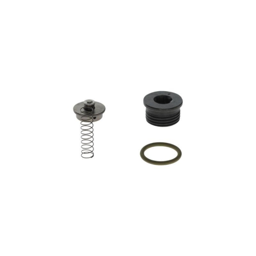 BOSCH Reparatursatz, Common-Rail-System F 00N 201 001