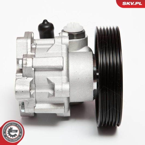 ESEN SKV Hydraulikpumpe, Lenkung 10SKV004
