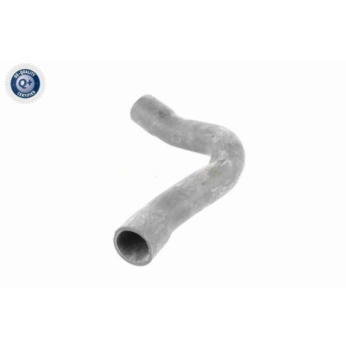 VAICO Ladeluftschlauch Q+, Erstausrüsterqualität V10-2909