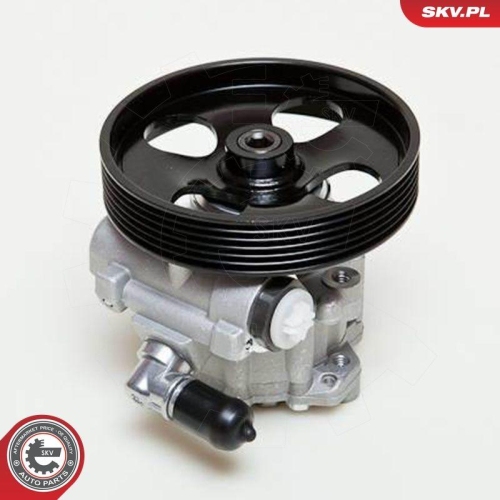 ESEN SKV Hydraulikpumpe, Lenkung 10SKV009
