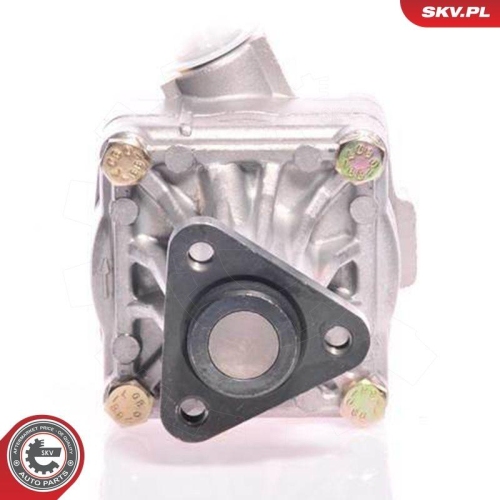 ESEN SKV Hydraulikpumpe, Lenkung 10SKV011