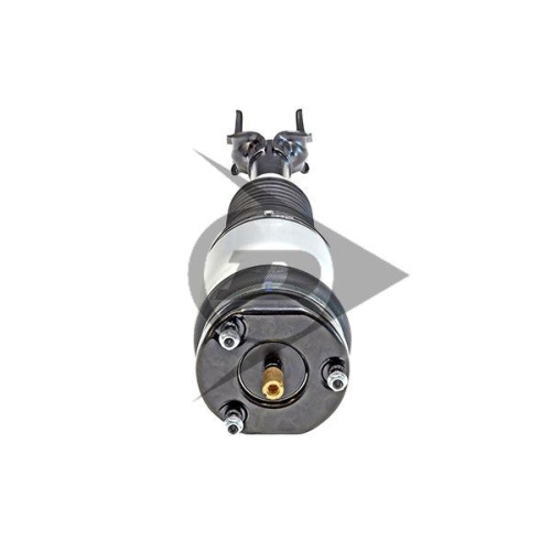 Dunlop Airsuspension Luftfederbein Dunlop Original Ersatzteil 71120