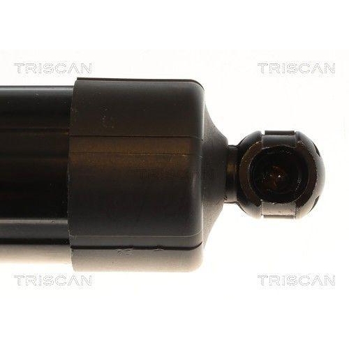 TRISCAN Gasfeder, Koffer-/Laderaum 8710 25302
