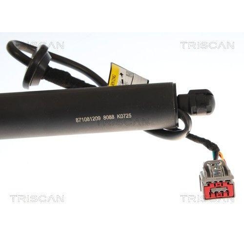 TRISCAN Gasfeder, Koffer-/Laderaum 8710 81209