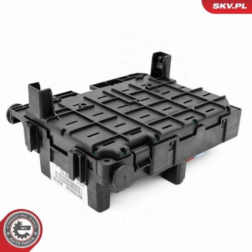 ESEN SKV Steuerger&auml;t, Motormanagement 96SKV321