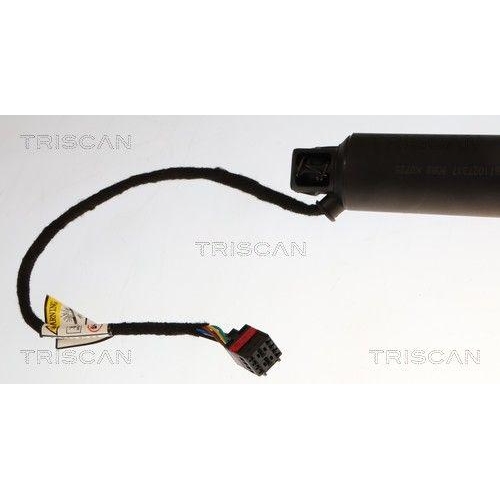 TRISCAN Gasfeder, Koffer-/Laderaum 8710 27317
