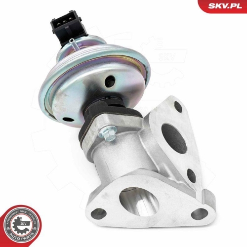ESEN SKV AGR-Ventil 14SKV285