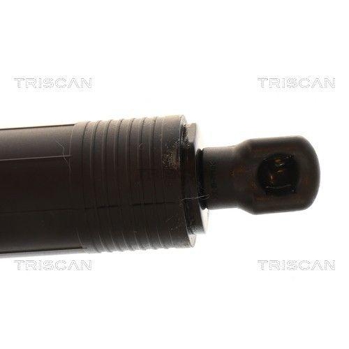 TRISCAN Gasfeder, Koffer-/Laderaum 8710 29334