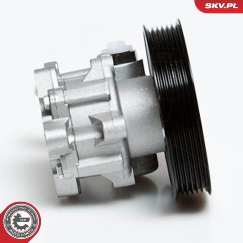 ESEN SKV Hydraulikpumpe, Lenkung 10SKV022