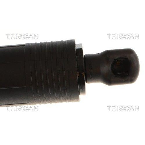 TRISCAN Gasfeder, Koffer-/Laderaum 8710 43319
