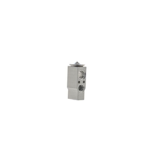 MAHLE Expansionsventil, Klimaanlage BEHR AVE 169 000S