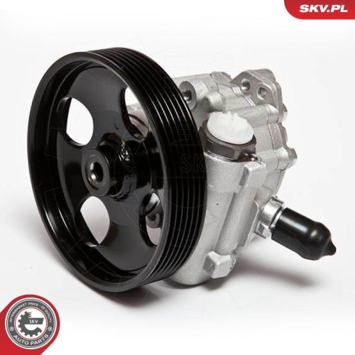 ESEN SKV Hydraulikpumpe, Lenkung 10SKV023