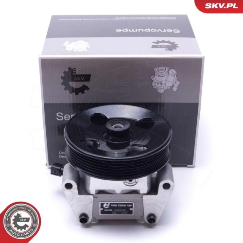 ESEN SKV Hydraulikpumpe, Lenkung 10SKV306