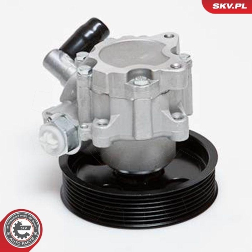 ESEN SKV Hydraulikpumpe, Lenkung 10SKV024
