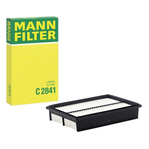 MANN-FILTER Luftfilter C 2841
