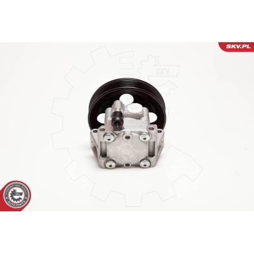 ESEN SKV Hydraulikpumpe, Lenkung