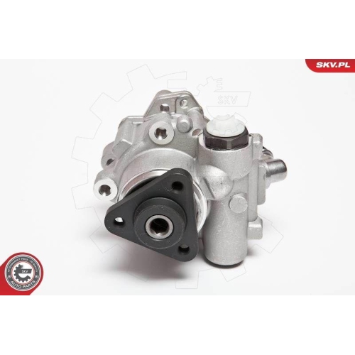 ESEN SKV Hydraulikpumpe, Lenkung