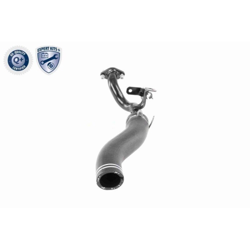 VAICO Ladeluftschlauch EXPERT KITS + V24-0722