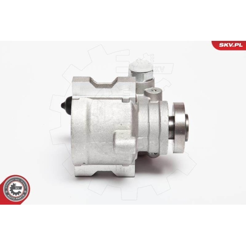 ESEN SKV Hydraulikpumpe, Lenkung