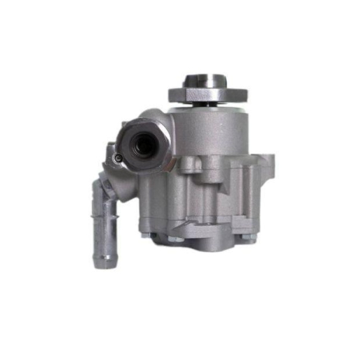 LAUBER Hydraulikpumpe, Lenkung 55.5213