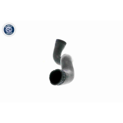 VAICO Ladeluftschlauch Q+, Erstausrüsterqualität V10-3141