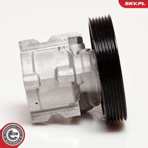 ESEN SKV Hydraulikpumpe, Lenkung 10SKV031