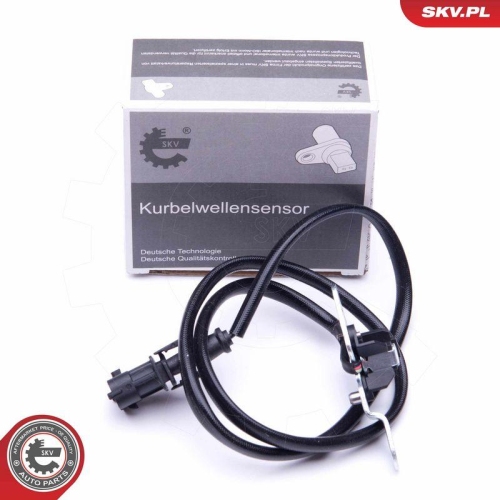 ESEN SKV Sensor, Nockenwellenposition 17SKV245