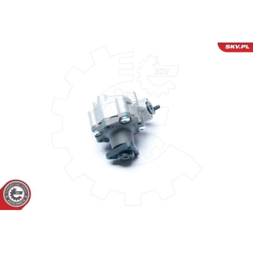 ESEN SKV Hydraulikpumpe, Lenkung