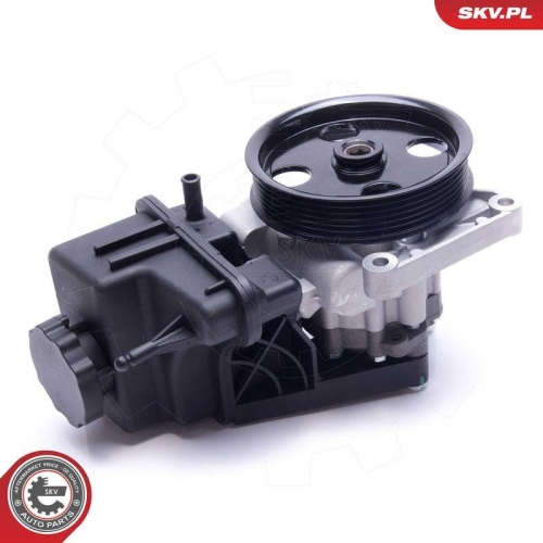 ESEN SKV Hydraulikpumpe, Lenkung 10SKV307