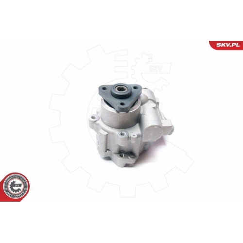 ESEN SKV Hydraulikpumpe, Lenkung