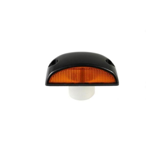 TRUCKLIGHT Blinkleuchte CL-RV001L/R