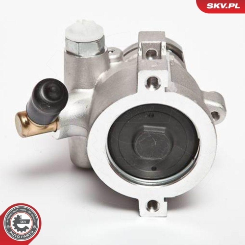 ESEN SKV Hydraulikpumpe, Lenkung 10SKV047