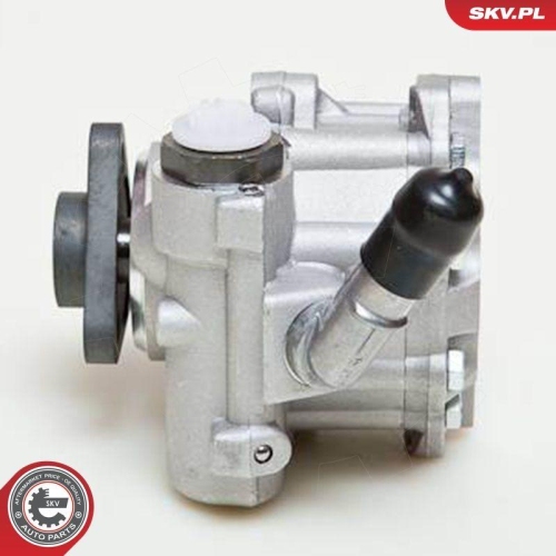 ESEN SKV Hydraulikpumpe, Lenkung 10SKV048