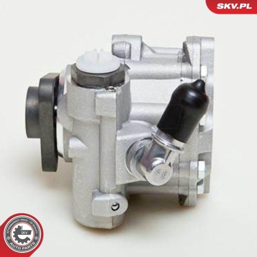 ESEN SKV Hydraulikpumpe, Lenkung 10SKV049