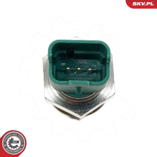 ESEN SKV Sensor, Motor&ouml;lstand 17SKV749