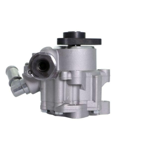 LAUBER Hydraulikpumpe, Lenkung 55.1659