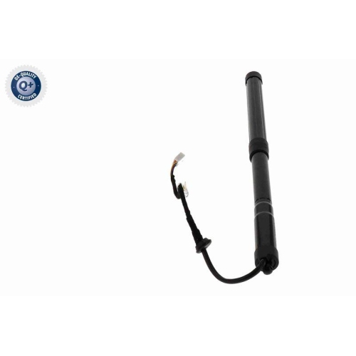 ACKOJA Elektromotor, Heckklappe Green Mobility Parts A70-55-0012