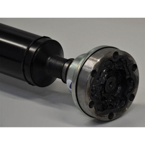 SPIDAN Gelenkwelle, Achsantrieb GKNP20117