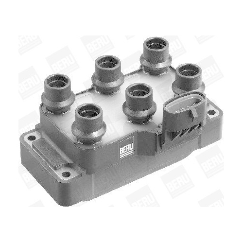 BorgWarner (BERU) Z&uuml;ndspule ZS371