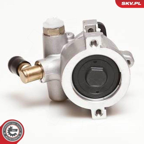 ESEN SKV Hydraulikpumpe, Lenkung 10SKV053