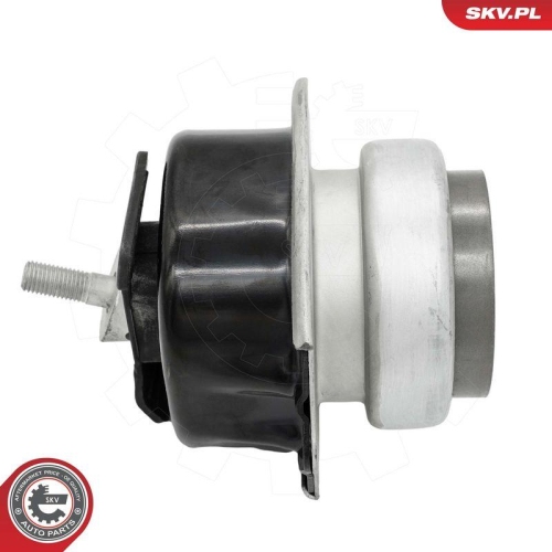 ESEN SKV Lagerung, Motor 75SKV254