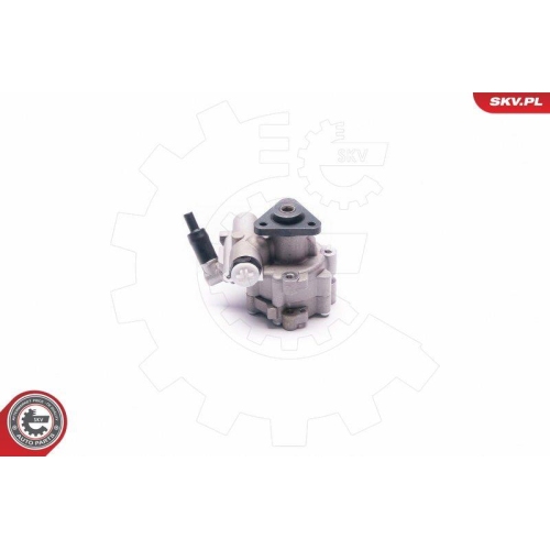 ESEN SKV Hydraulikpumpe, Lenkung 10SKV030