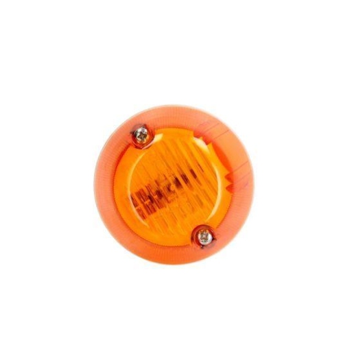 TRUCKLIGHT Blinkleuchte CL-MA001