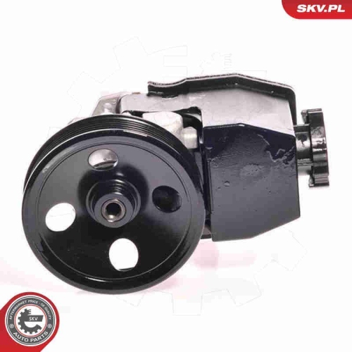 ESEN SKV Hydraulikpumpe, Lenkung 10SKV139