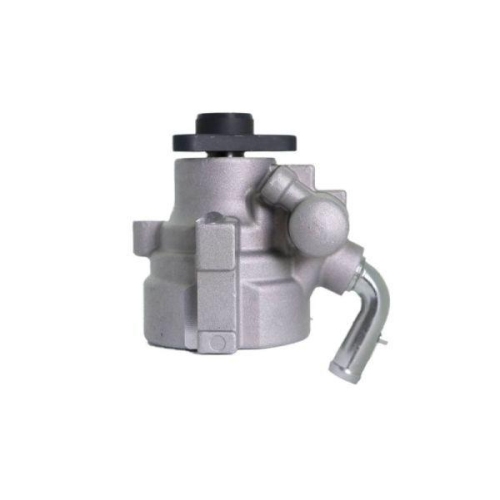 LAUBER Hydraulikpumpe, Lenkung 55.3719