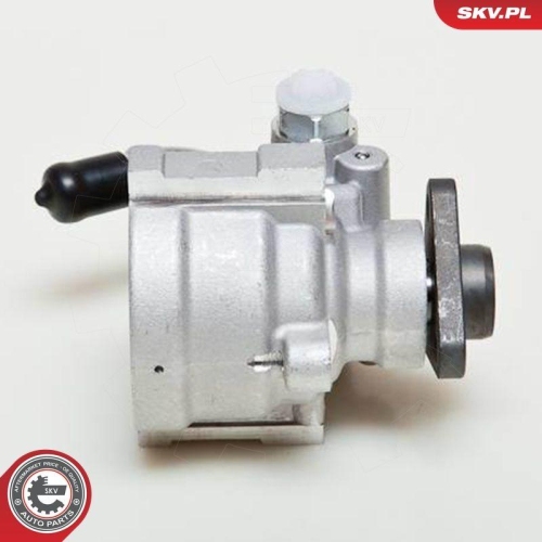 ESEN SKV Hydraulikpumpe, Lenkung 10SKV061