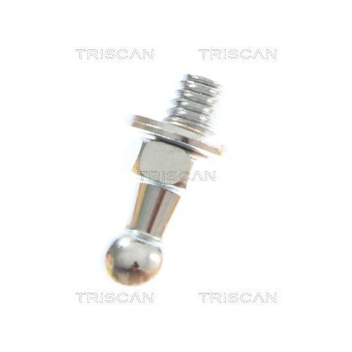 TRISCAN Gasfeder, Koffer-/Laderaum 8710 69229