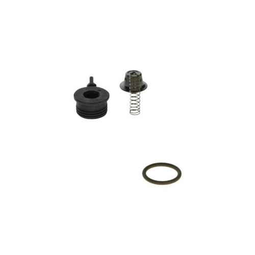 BOSCH Reparatursatz, Common-Rail-System F 00N 203 059