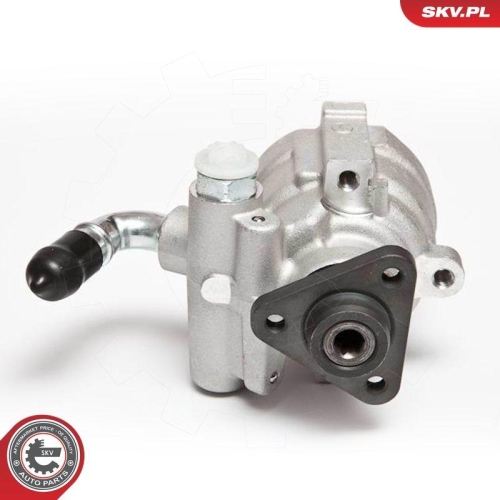 ESEN SKV Hydraulikpumpe, Lenkung 10SKV064